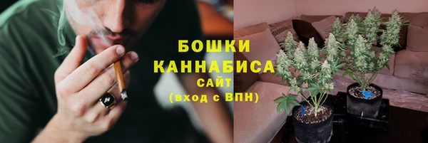 ECSTASY Белокуриха