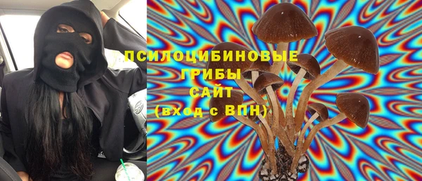 прущие грибы Белоозёрский