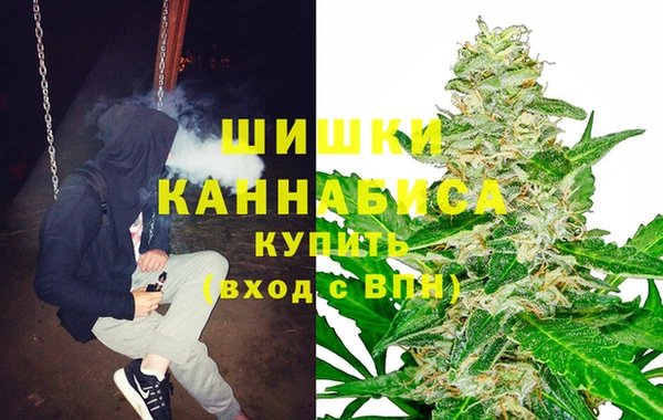 прущие грибы Белоозёрский
