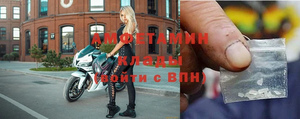 прущие грибы Белоозёрский