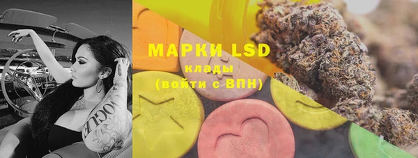 ECSTASY Белокуриха