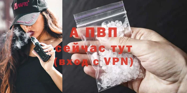 ECSTASY Белокуриха