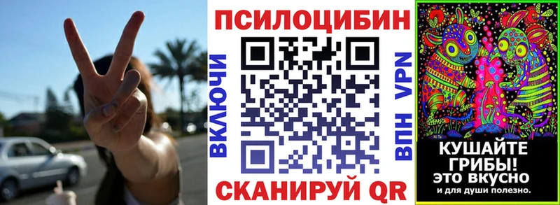 Псилоцибиновые грибы GOLDEN TEACHER Гусев