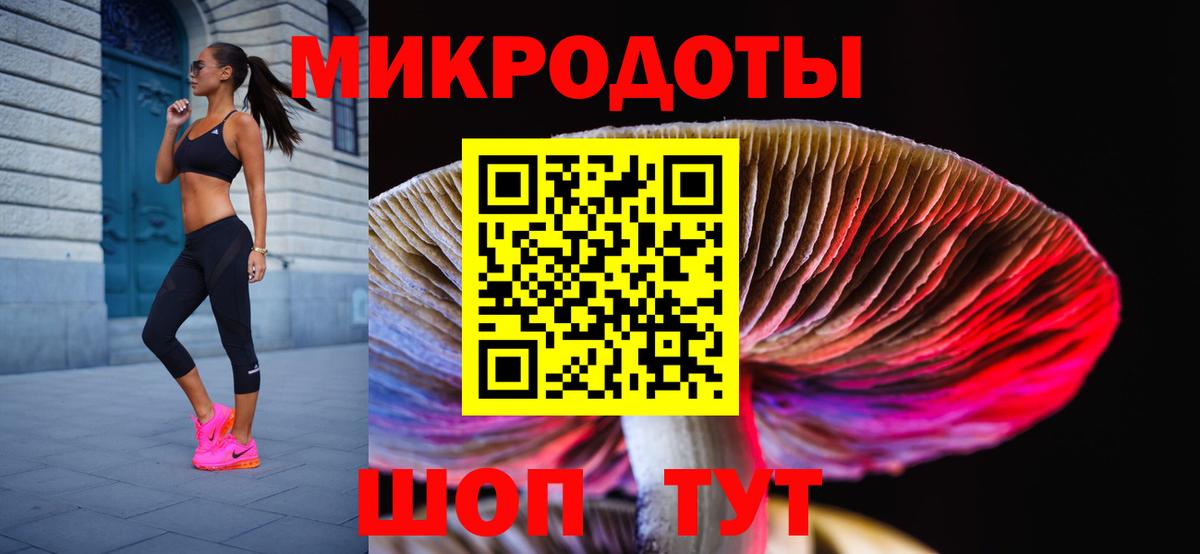 Галлюциногенные грибы Psilocybine cubensis  Галлюциногенные грибы Psilocybe  Вход с VPN  Гусев 
